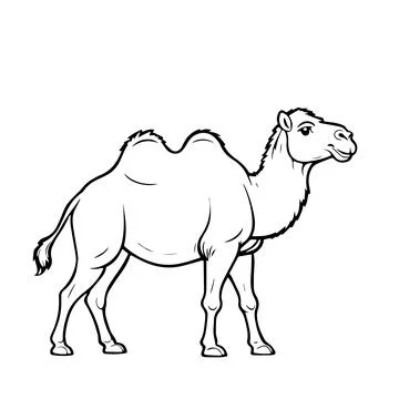 Black Vector fun camel smiling on a white background for coloring book for Stock Illustration