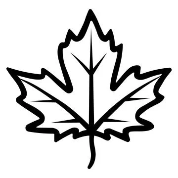 Black vector maple icon on white background Stock Illustration