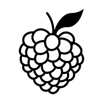 Black vector raspberry icon on white background イラスト素材