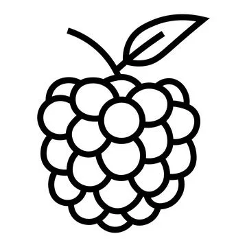 Black vector raspberry icon on white background Stockillustratie