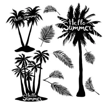 Black vector single palm tree silhouette icon isolated Stock Illustration