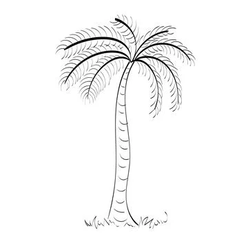 Black vector single palm tree design Stock Illustration