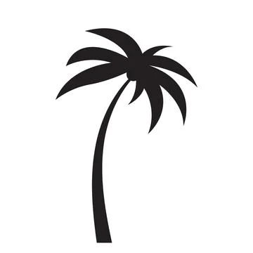 Black vector single palm tree silhouette icon isolated Stock-Illustration