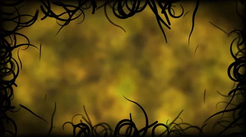 Black Vines Border Background Animation - Loop Yellow Stock Footage 48096973