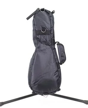 Black violin case on a white background Foto stock