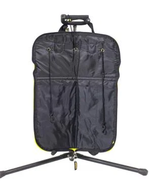 Black violin case on a white background Foto stock