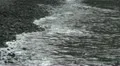 Black volcanic beach HD Footage