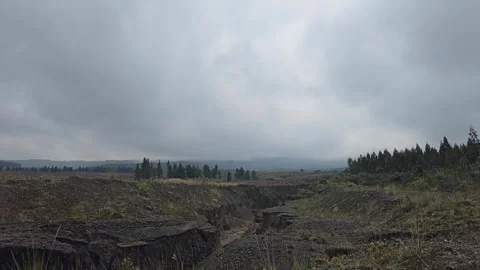 Black Volcanic Ground and Distant Pine Line, Cotopaxi National Park, Ecuador 8K Video stock 331492312