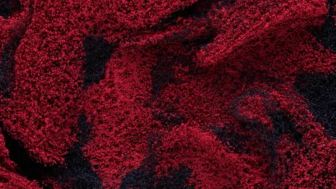 Black Vs Red Caviar. Wavy Multicolored Particles Of Liquid Turbulent Flow. Video stock 144295648