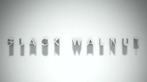 Black walnut 3D title animation with shadows on a white background Stock Footage 297817276
