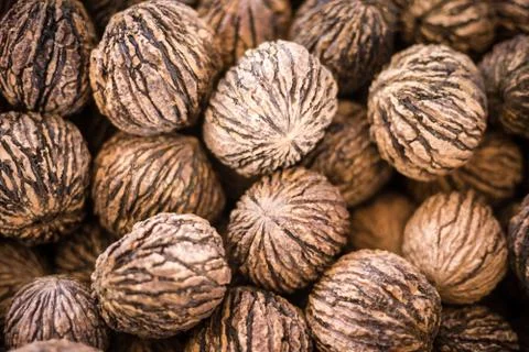 Black walnuts background Stock Photos