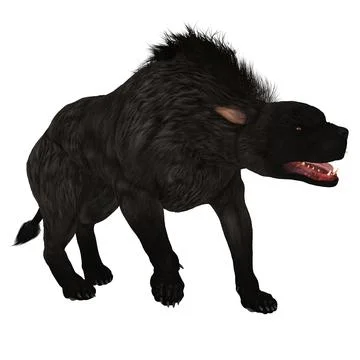 Black Warhound Walking Illustrazione stock