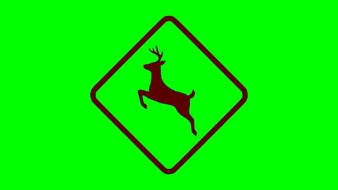 Black warning deer sign red flash animation Video stock 342830022