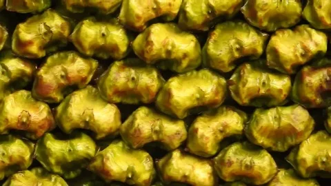 Black water chestnuts Stock Footage 69160515