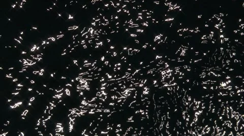Black Water Rippling Stock Footage 8506375