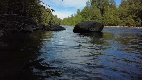 Black Water River  Stock Footage 201974574