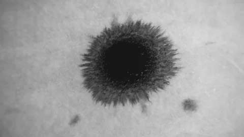 Black watercolor ink drops on wet white textured paper and spread out  Stock Footage