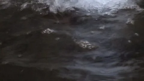 Black waters Video stock 154408302