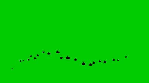 Black like wave green Stock Footage 204780333