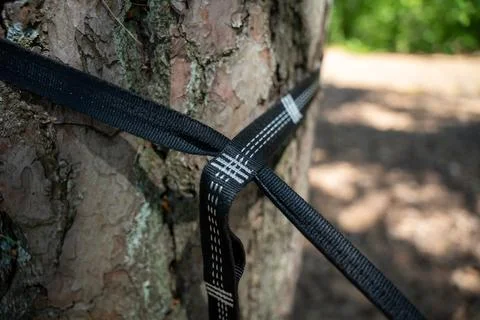Black Webbing Tree Strap Secured Around Barked Trunk in Forest Outdoor Park.. Stock Photos