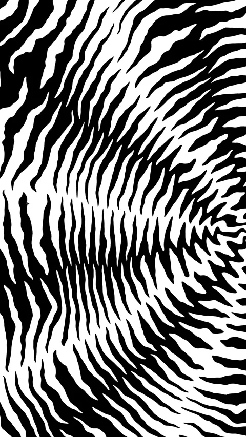 Black white abstract zebra pattern spiral motion background loop Stock Footage 326417846
