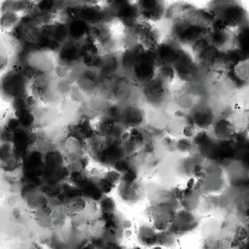 Black White Cloudy Watercolor Texture Abstract Background Stock Illustration