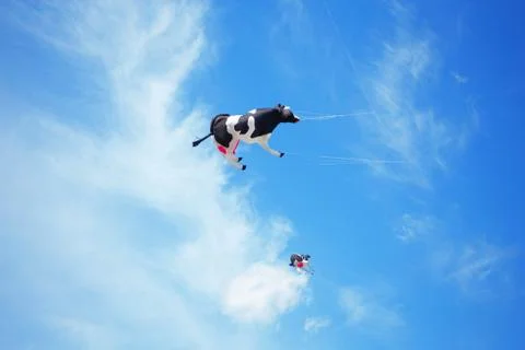 Black white cow in the sky Stock Photos