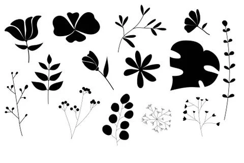 Black &amp; White Floral Element Stock Illustration