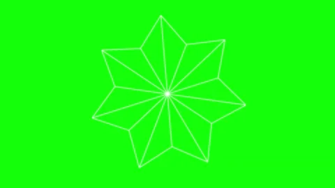 Black White Flower Horizontal 16:9 Green Screen Video stock 340461408