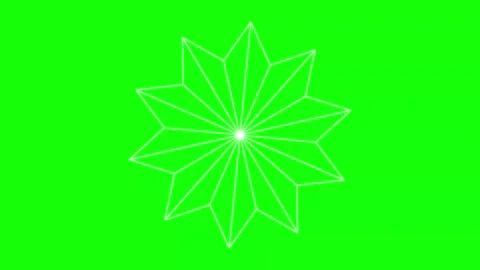 Black White Flower Horizontal 16:9 Green Screen Stock Footage 340461433