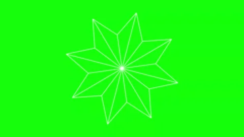 Black White Flower Horizontal 16:9 Green Screen 스톡 동영상 340461449