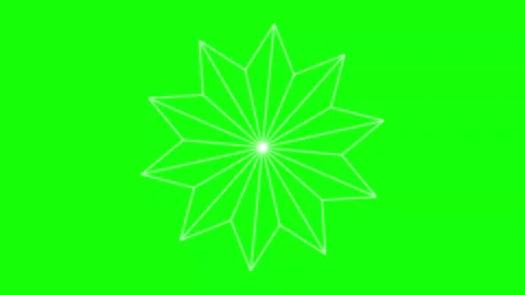 Black White Flower Horizontal 16:9 Green Screen Vidéo 340461459