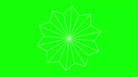 Black White Flower Horizontal 16:9 Green Screen Видео 340461461