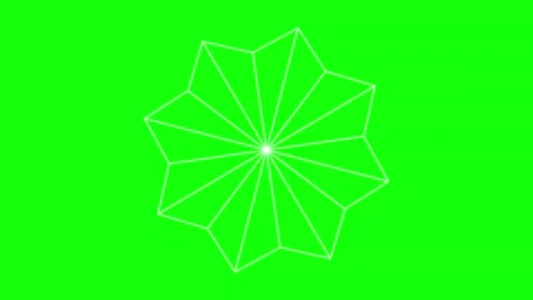 Black White Flower Horizontal 16:9 Green Screen Video stock 340461464