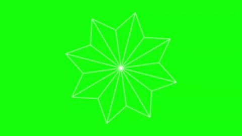 Black White Flower Logo Horizontal 16:9 Green Screen 動画素材 340461414
