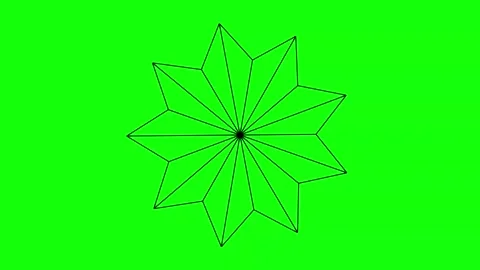 Black White Flower Snow Horizontal 16:9 Green Screen Video stock 340461134