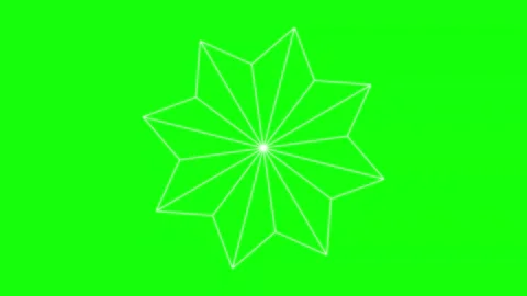 Black White Flower Snow Horizontal 16:9 Green Screen Stock-Footage 340461439