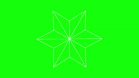 Black White Flower Star Horizontal 16:9 Green Screen Vidéo 340461388