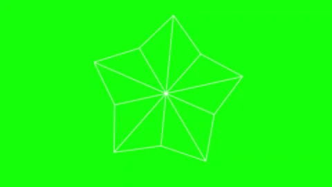Black White Flower Star Horizontal 16:9 Green Screen Stock-Footage 340461434