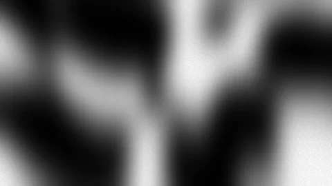 Black White Grainy Gradient Motion Background Loop for Modern Videos Video stock 306634357