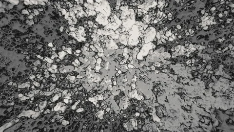 Black-white grunge background Stock Footage 134327641