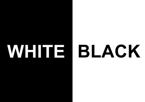 Black White Illustrazione stock