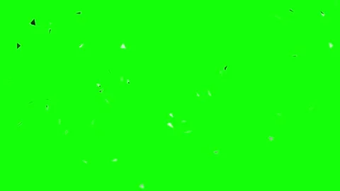 Black White Man Bird Horizontal 16:9 Green Screen Vidéo 340460885