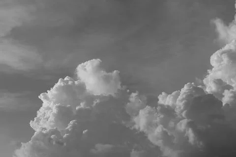 Black white Stockfoto's