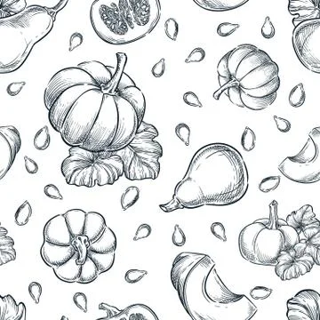 Black white pumpkins vector seamless pattern. Sketch hand drawn illustration. Stock Illustration