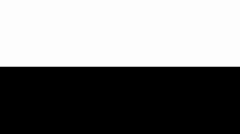 Black / White Series Horizontal HD Stock Footage 7755889