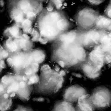 Black White Soft Bokeh Cluster Background Stock Illustration