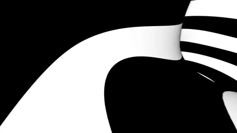 Black White Spin 库存影片 103801503
