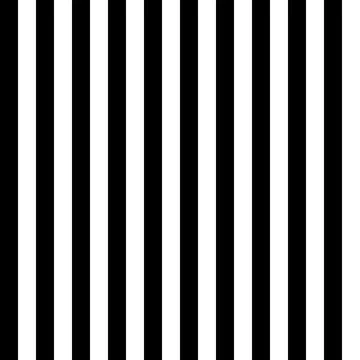 Black white stripes seamless pattern. Vector illustration. Stock Illustration