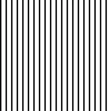 Black white stripes seamless pattern. Vector illustration.	 Stock Illustration